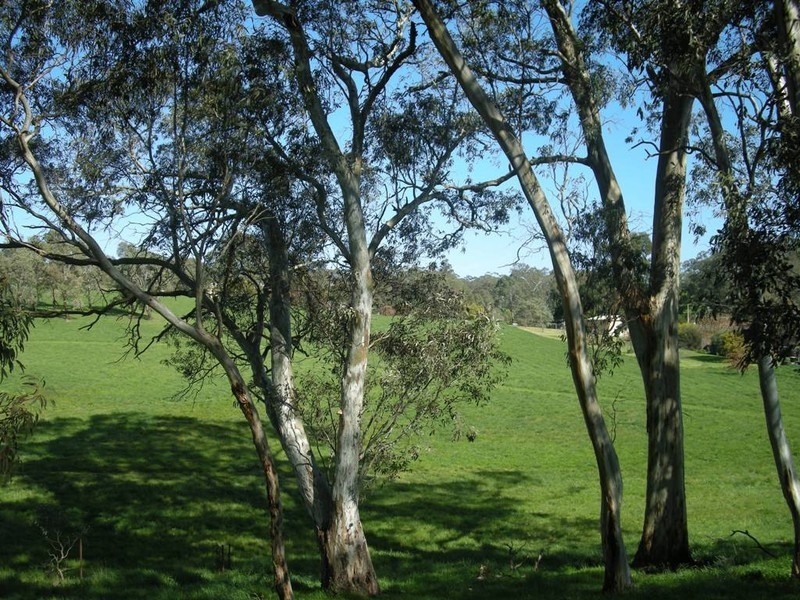 Lot 4 14 Hillman Drive, Nairne SA 5252