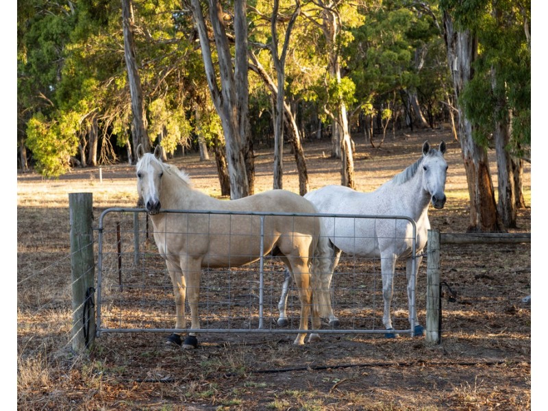 9 Sanders Lane, Echunga SA 5153
