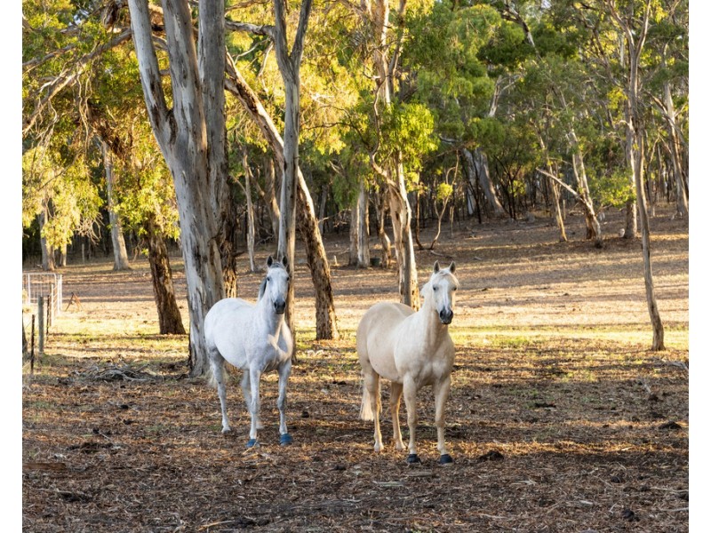 9 Sanders Lane, Echunga SA 5153