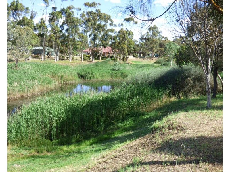 34 and 36 North Terrace, Callington SA 5254