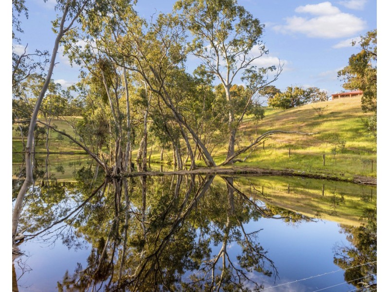 96 Burns Road, Inglewood SA 5133