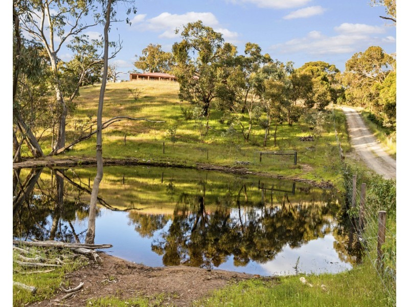 96 Burns Road, Inglewood SA 5133