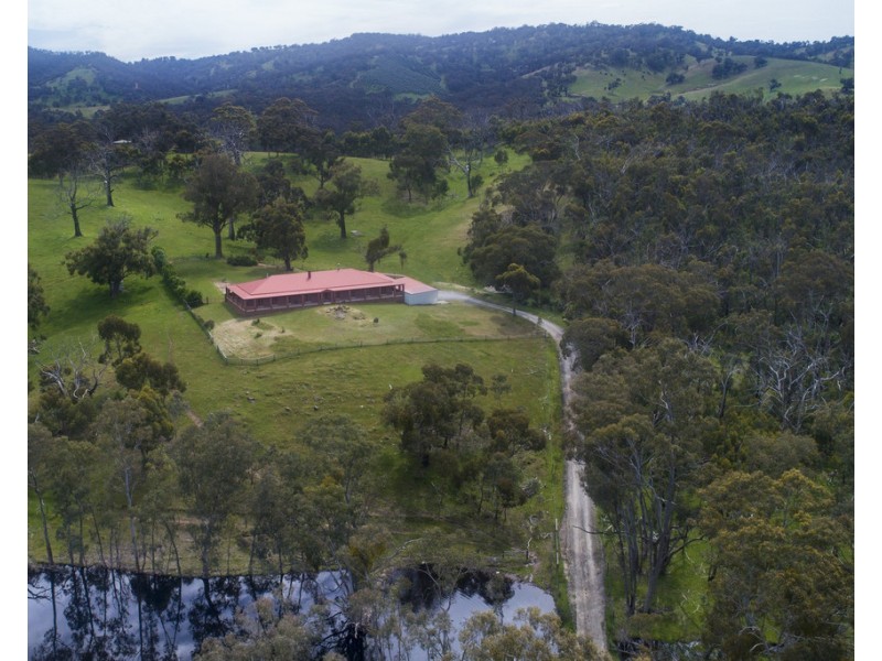 96 Burns Road, Inglewood SA 5133