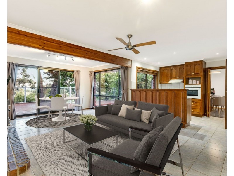 19 Wychwood Grove, Upper Sturt SA 5156