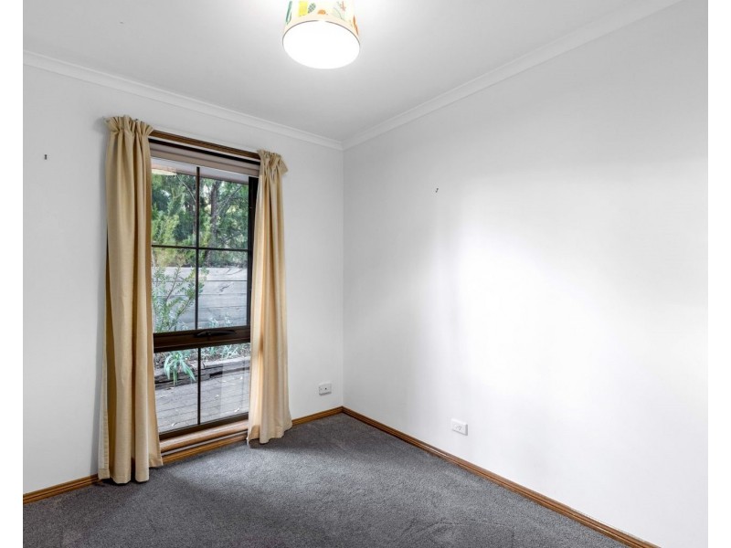 19 Wychwood Grove, Upper Sturt SA 5156