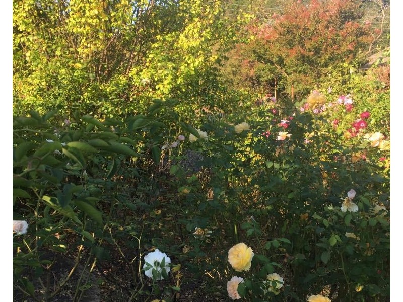 8 Pain Road, Hahndorf SA 5245