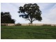 Lot 9 Clover Way, Nairne SA 5252