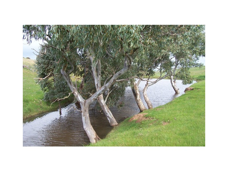 Lot 40 Scrubby Hill Road, Wistow SA 5251