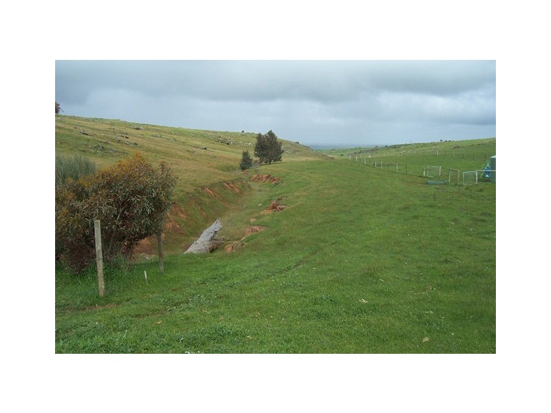 Lot 40 Scrubby Hill Road, Wistow SA 5251