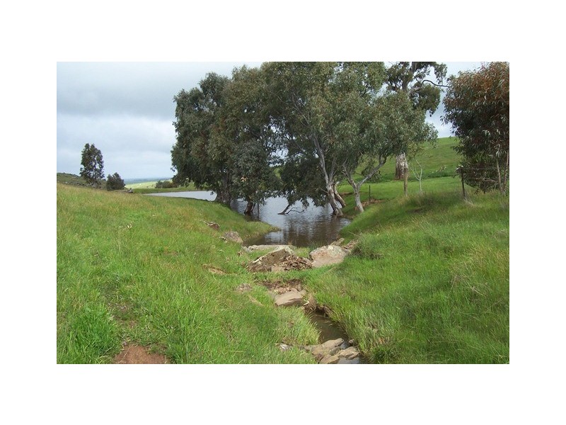 Lot 40 Scrubby Hill Road, Wistow SA 5251