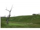 Lot 40 Scrubby Hill Road, Wistow SA 5251