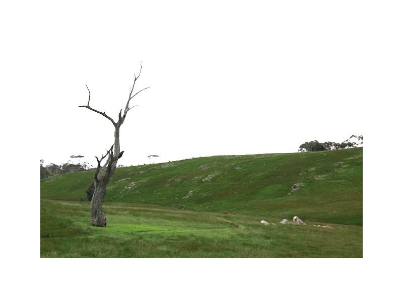Lot 40 Scrubby Hill Road, Wistow SA 5251