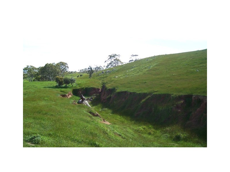 Lot 40 Scrubby Hill Road, Wistow SA 5251