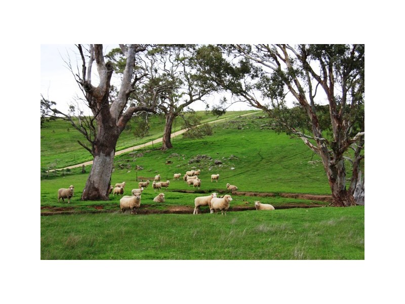 Lot 40 Scrubby Hill Road, Wistow SA 5251