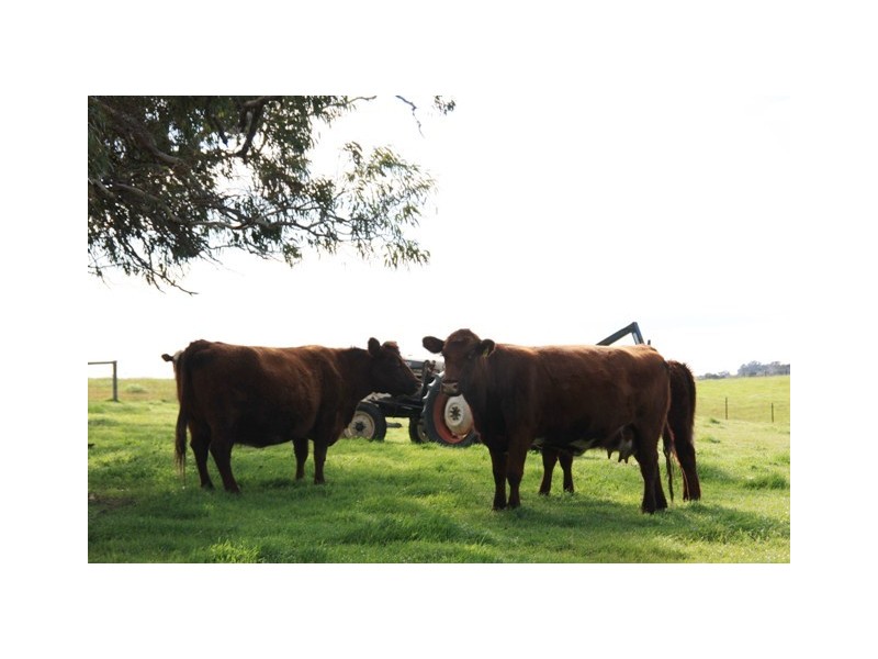 Lot 4 Klenke Road, Wistow SA 5251