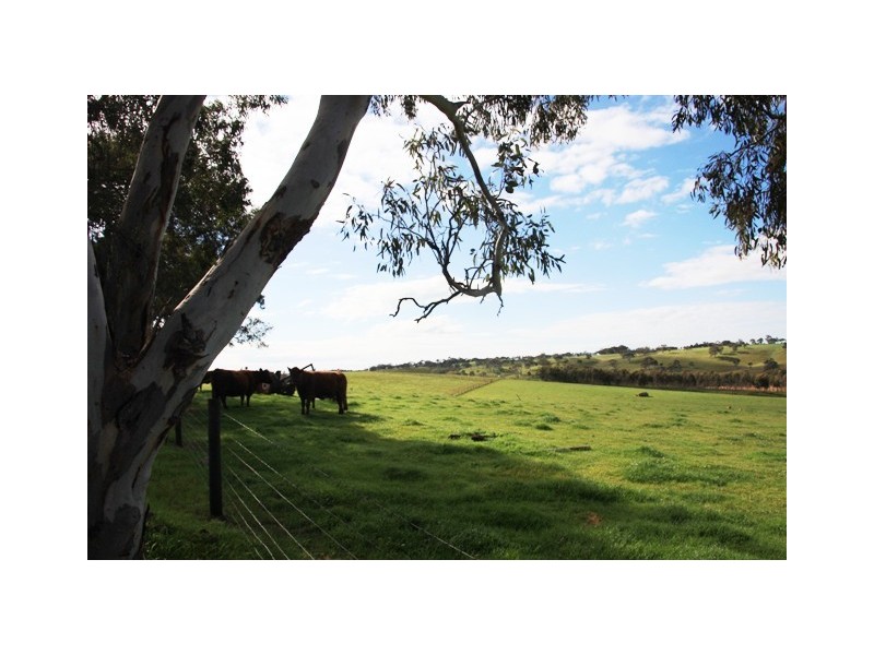 Lot 4 Klenke Road, Wistow SA 5251