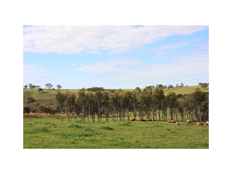 Lot 4 Klenke Road, Wistow SA 5251