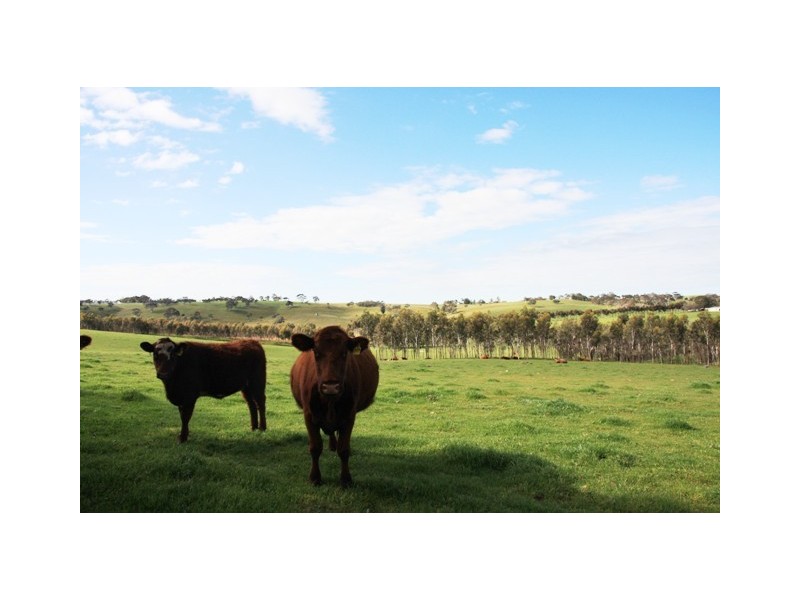 Lot 4 Klenke Road, Wistow SA 5251