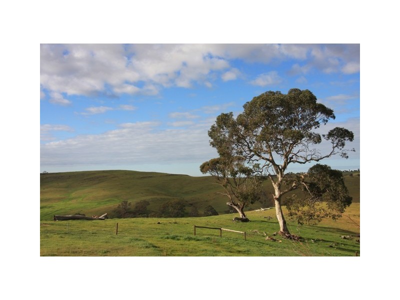 Lots 11 and 12 Ironstone Range Road, Petwood SA 5254