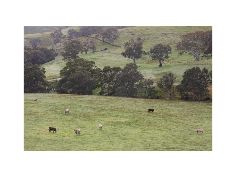 Lots 11 and 12 Ironstone Range Road, Petwood SA 5254