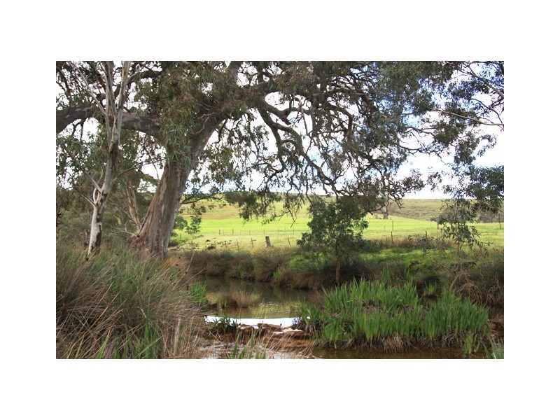 Lots 11 and 12 Ironstone Range Road, Petwood SA 5254