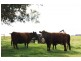 Lot 4 Klenke Road, Wistow SA 5251