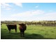 Lot 4 Klenke Road, Wistow SA 5251