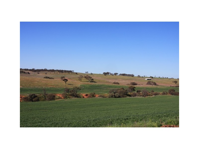 Lot 55 Burwood Road, Wistow SA 5251