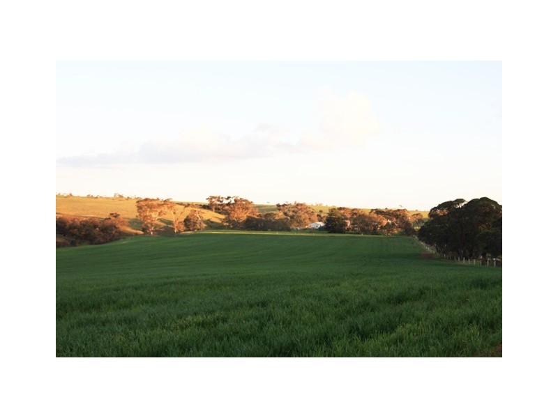 Lot 55 Burwood Road, Wistow SA 5251