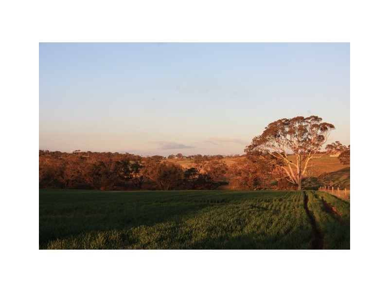 Lot 55 Burwood Road, Wistow SA 5251