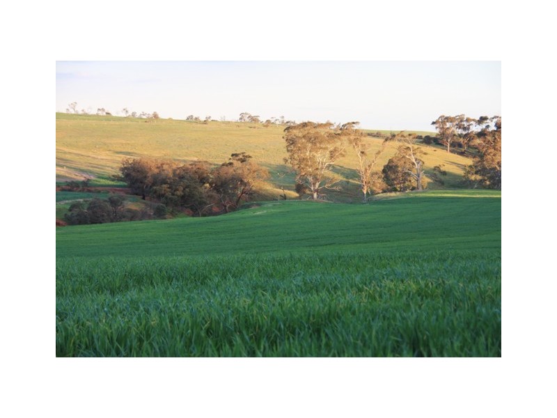 Lot 55 Burwood Road, Wistow SA 5251