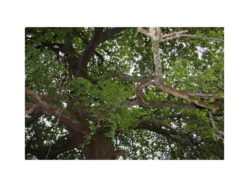 146 Mount Barker Road, Aldgate SA 5154