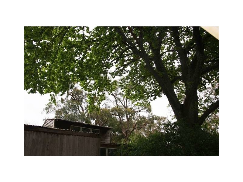 146 Mount Barker Road, Aldgate SA 5154