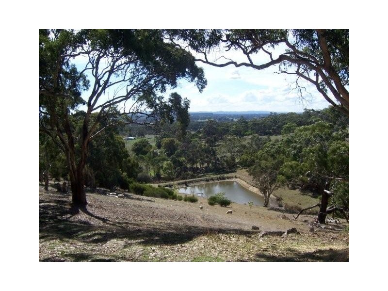 Lot 29 Robinson Road, Meadows SA 5201