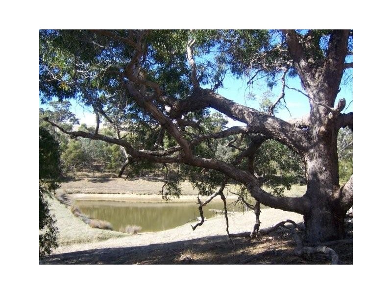 Lot 29 Robinson Road, Meadows SA 5201