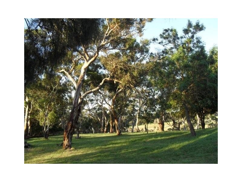 Lot 29 Robinson Road, Meadows SA 5201