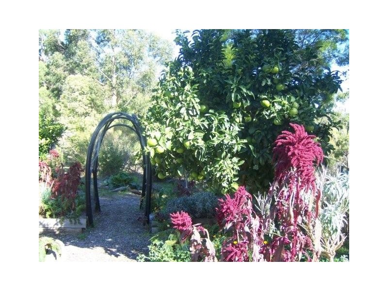 Lot 29 Robinson Road, Meadows SA 5201