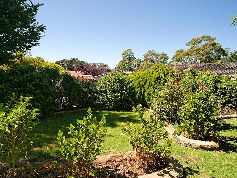 17 Daw Avenue, Mount Barker SA 5251