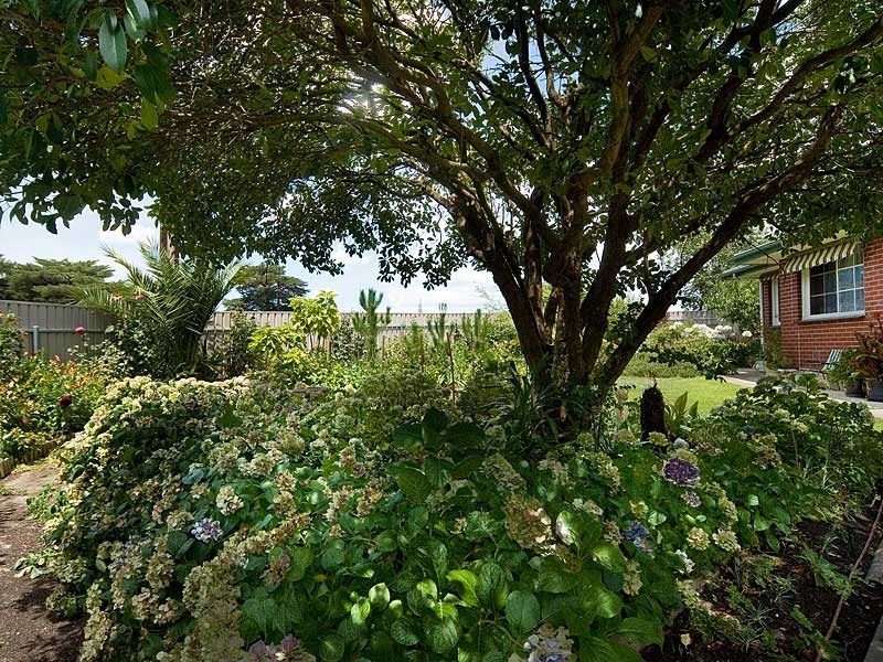 2 Dumas Street, Mount Barker SA 5251