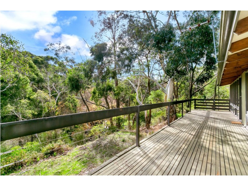 51 Avoca Avenue, Bridgewater SA 5155