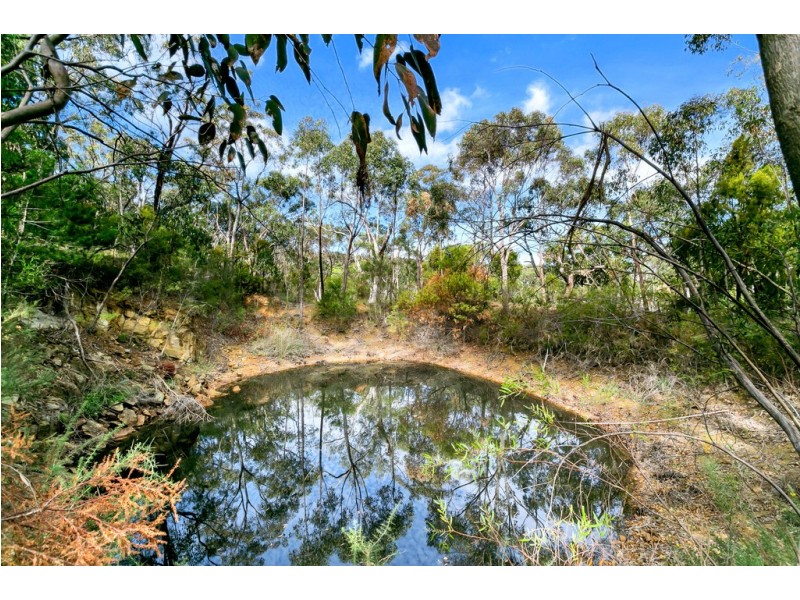 51 Avoca Avenue, Bridgewater SA 5155