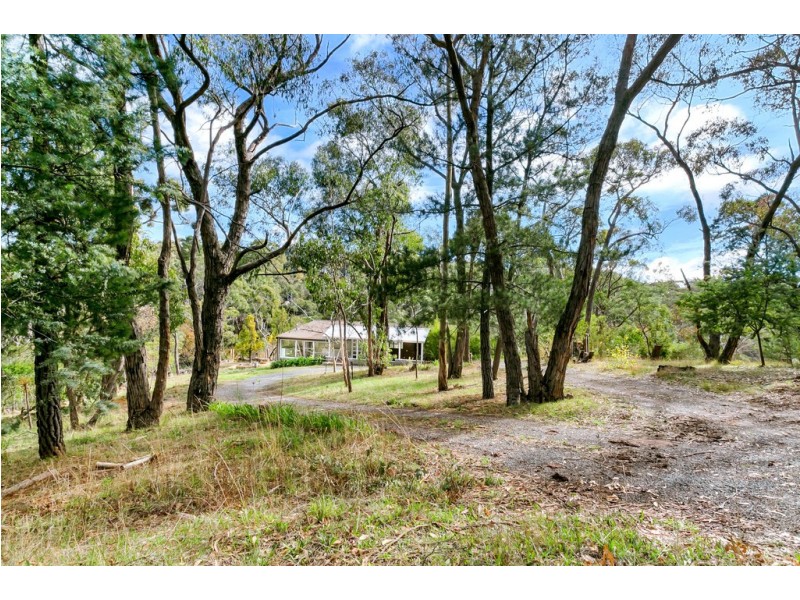 51 Avoca Avenue, Bridgewater SA 5155