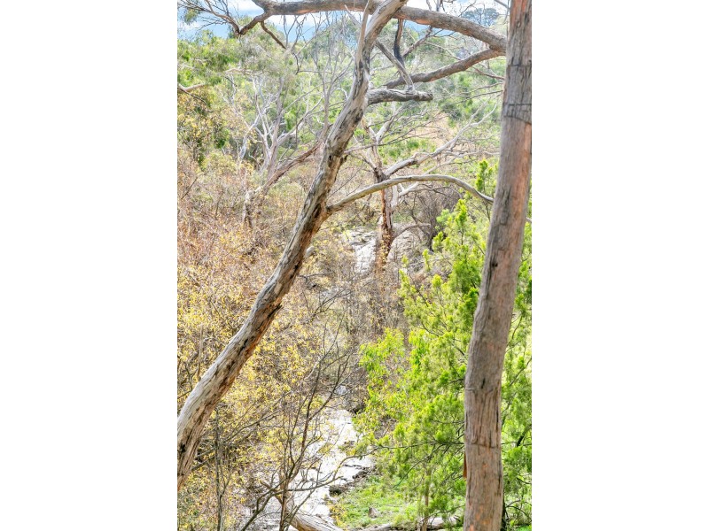 51 Avoca Avenue, Bridgewater SA 5155