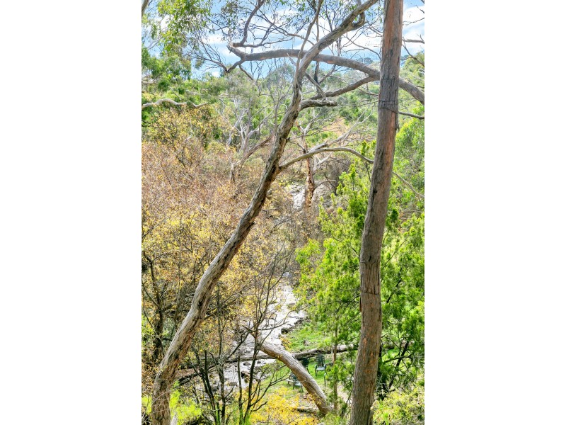 51 Avoca Avenue, Bridgewater SA 5155