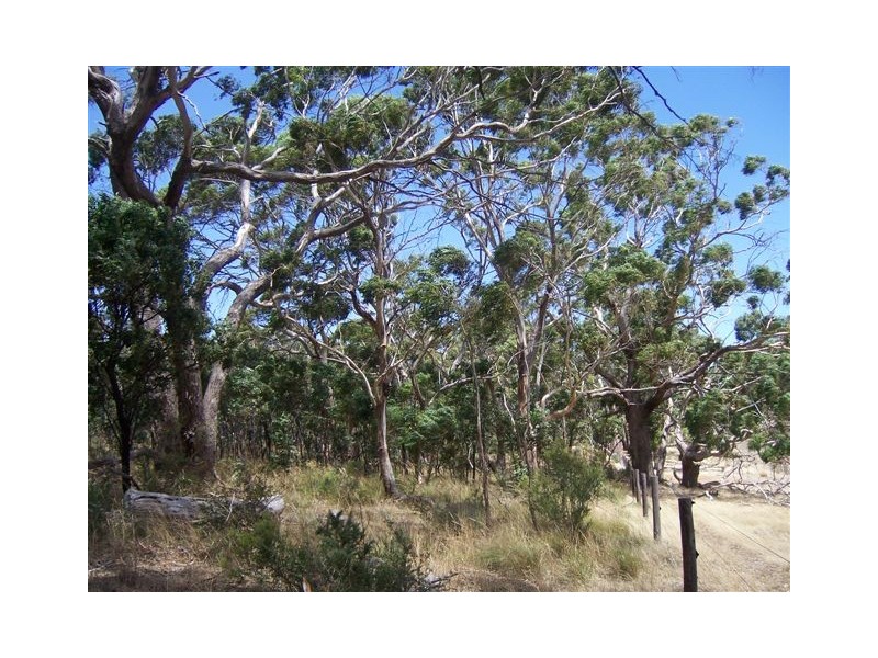 Lot 10 Willcox Road, Bugle Ranges SA 5251