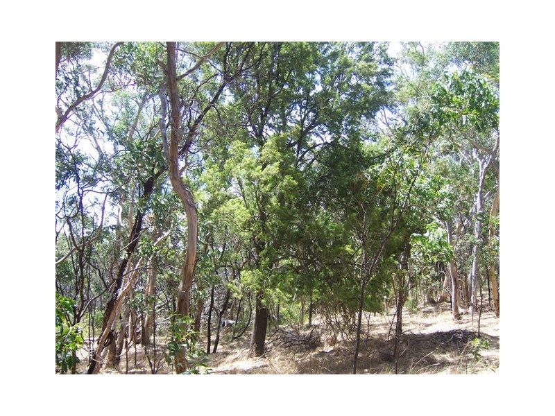 Lot 10 Willcox Road, Bugle Ranges SA 5251