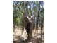 Lot 10 Willcox Road, Bugle Ranges SA 5251