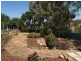 Lot 15 Strathalbyn Road, Wistow SA 5251