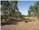 Lot 1  Glen Brae Road, Wistow SA 5251