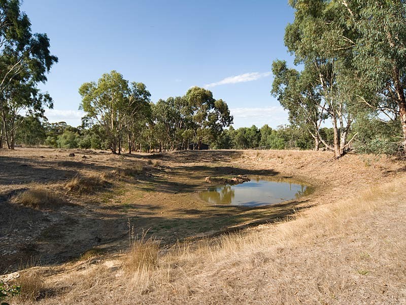 Lot 1  Glen Brae Road, Wistow SA 5251